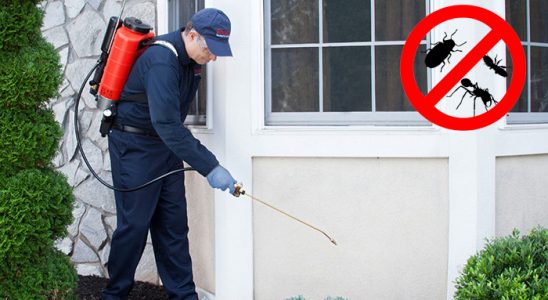 Çat Dezenfeksiyon böcek ilaçlama ve haşere kontrolü — ilaclama-tr.com